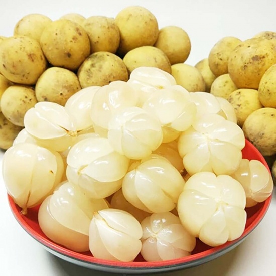 Bòn bon trái to, tươi ngon, loại 1